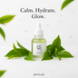 Day 6 - Beauty of Joseon Calming Serum
